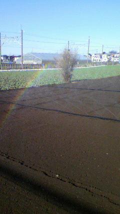 2010010512450000
