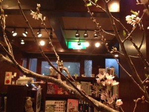 桜咲く２０１４