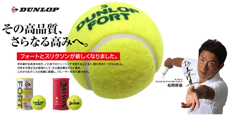 ダンロップ(DUNLOP) 硬式テニスボール フォート 2球入缶 (FORT 2BALL)