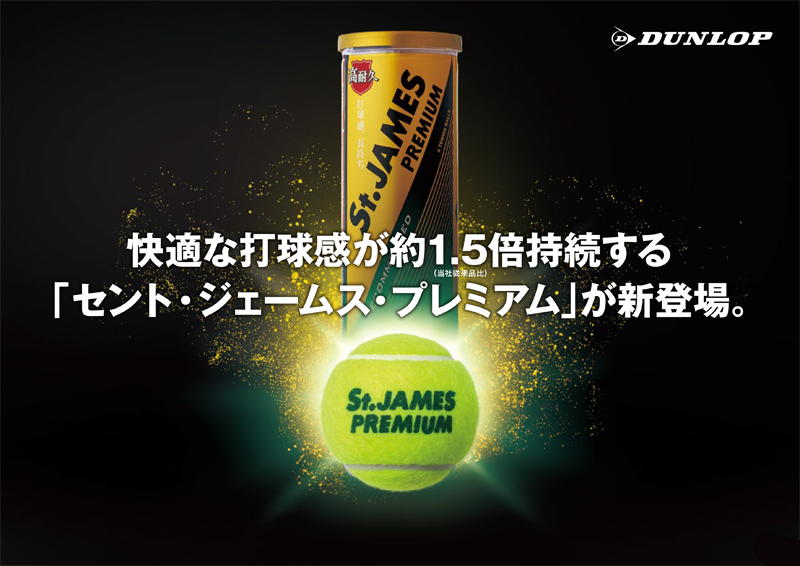 ダンロップ(DUNLOP) 硬式テニスボール セントジェームス プレミアム (St.JAMES PREMIUM) 4球入ボトル (15缶60球×2箱  合計120球)